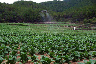煙草制品的危害 不容忽視的健康威脅
